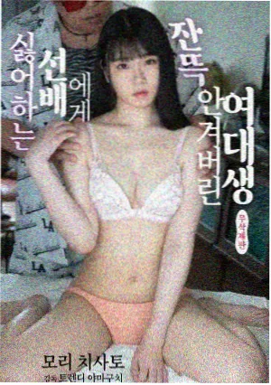 海贼王卡片